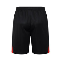 Kit de Treino adulto Bayern de Munique 2025/26 Short e Camisa